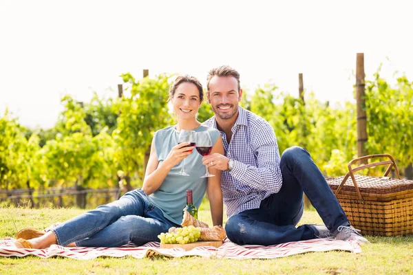 Couple toasting verres à vin à la pelouse — Photo