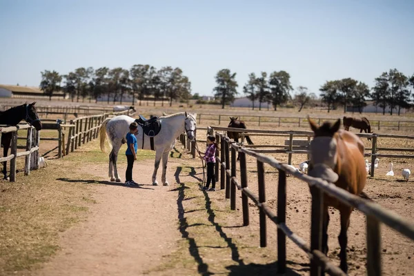 Niños de pie con un caballo blanco —  Fotos de Stock