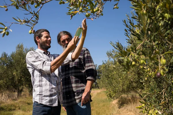 Amis examinant l'huile d'olive à la ferme — Photo