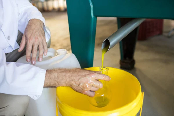 Technician examining olive oil — Stock Photo, Image