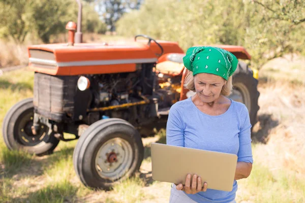 Mulher usando laptop na fazenda de azeitona — Fotografia de Stock