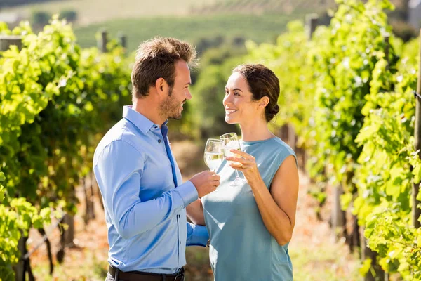 Pár pirítás wineglasses, a vineyard — Stock Fotó