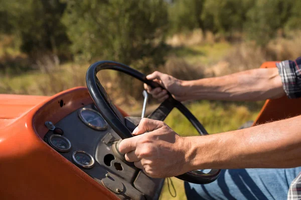 Man driving tractor in olive farm Royalty Free Stock Images