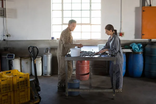 Trabajadores revisando una aceituna cosechada en fábrica — Foto de Stock