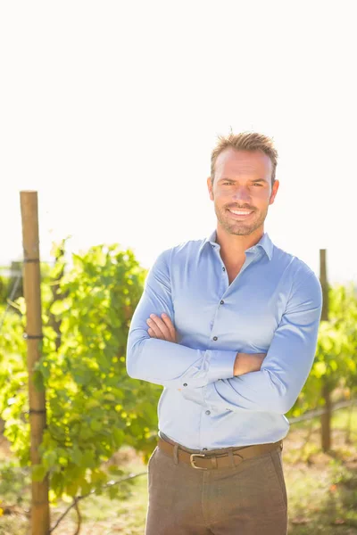 Homme confiant debout au vignoble — Photo