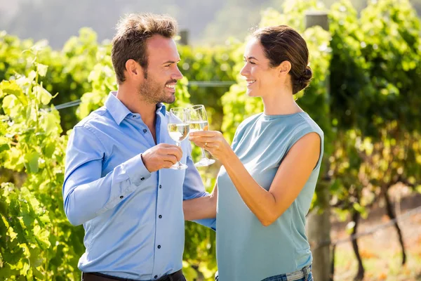 Pareja de vinos tostados en el viñedo — Foto de Stock