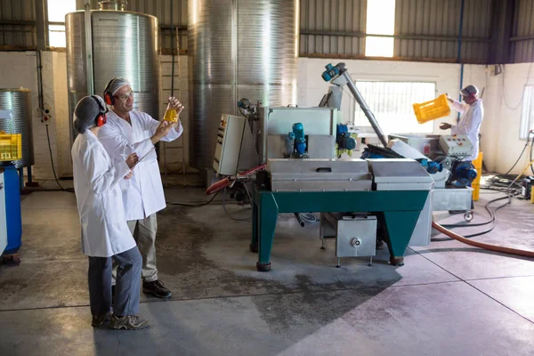 Técnicos de análise do azeite — Fotografia de Stock