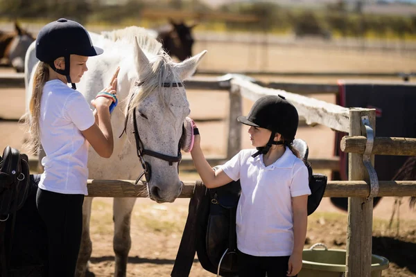 Meninas grooming cavalo no rancho — Fotografia de Stock