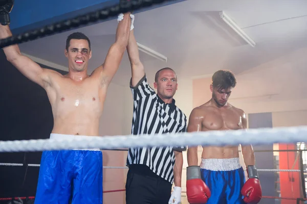 Referee holding hands of boxing winner