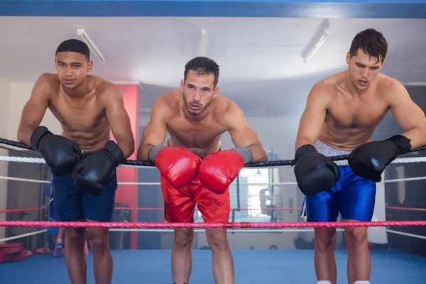 Mannelijke boksers leunend op touw — Stockfoto