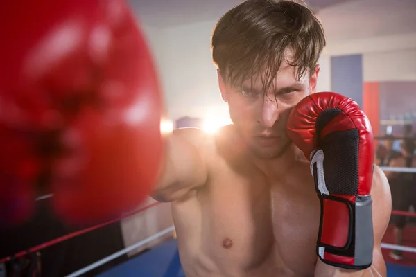 Boxeador praticando no ringue de boxe — Fotografia de Stock