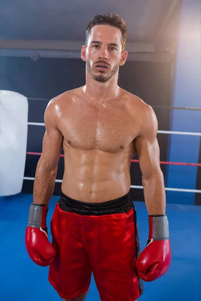 Boxeador masculino con guantes rojos — Foto de Stock