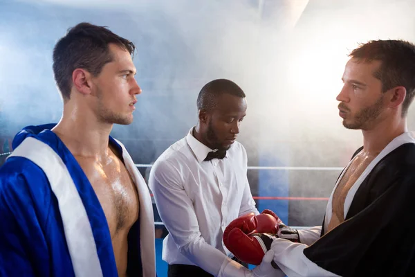 Schiedsrichter überprüft Handschuhe eines männlichen Boxers — Stockfoto