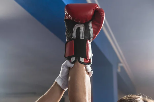 Schiedsrichter hält Hand des siegreichen Boxers — Stockfoto