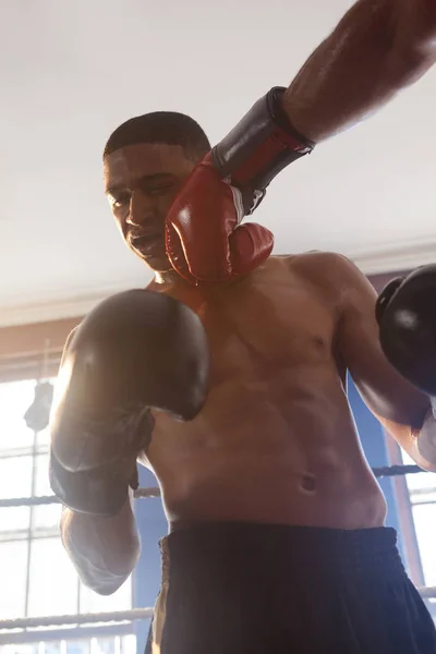 Boxers practicing boxing — Stock Photo, Image