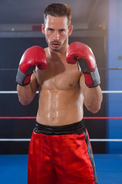 Male boxer in fighting stance — Stock Photo, Image