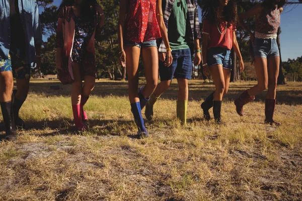 Amigos caminando en el campo —  Fotos de Stock