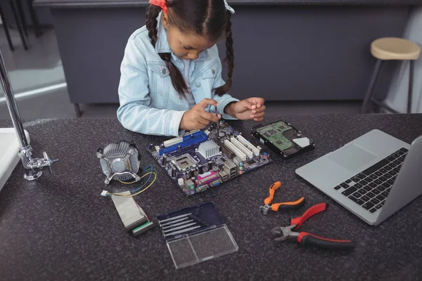 Elementaire meisje printplaat assemblage — Stockfoto