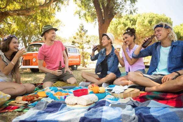 Glada vänner med dryck under picknick — Stockfoto