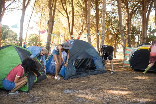 Freunde schlagen gemeinsam auf Feld ihre Zelte auf — Stockfoto