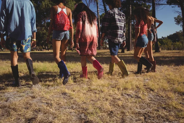 Amigos andando em campo — Fotografia de Stock