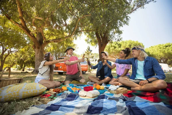 Alegre amigos brindar bebida durante el picnic — Foto de Stock