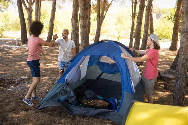 Lächelnde Freunde bereiten Zelt vor — Stockfoto