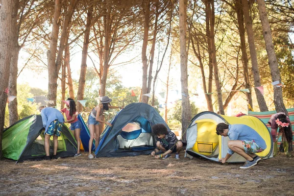 Freunde schlagen ihre Zelte auf Feld auf — Stockfoto