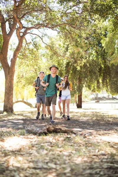 Vrienden met rugzak lopen op veld — Stockfoto