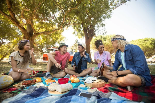 Amigos hablando mientras comen durante el picnic —  Fotos de Stock