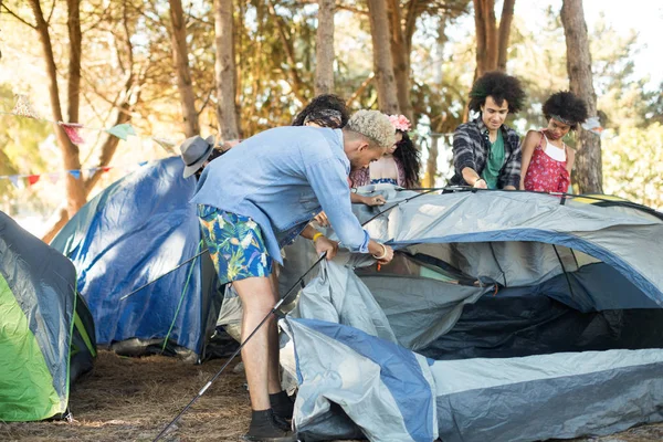 Friends setting up tents together — Stock Photo, Image