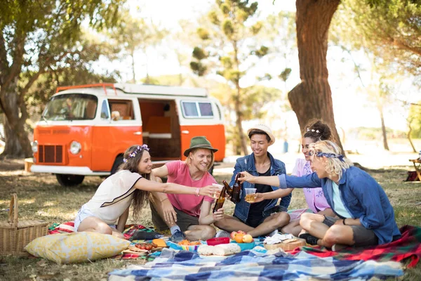Amigos tostando cerveza durante el picnic — Foto de Stock