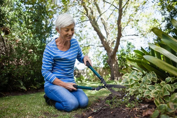 Wanita senior memotong tanaman — Stok Foto