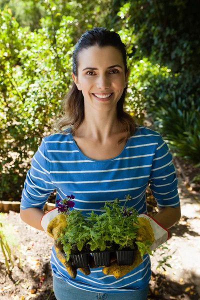 Woman standing with seedlings — Stock Photo, Image