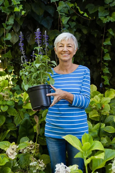Senior vrouw die bloempot — Stockfoto