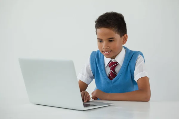 Schoolboy usando laptop — Fotografia de Stock