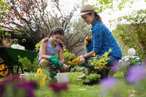 Mother giving seedling to daughter — Stock Photo, Image