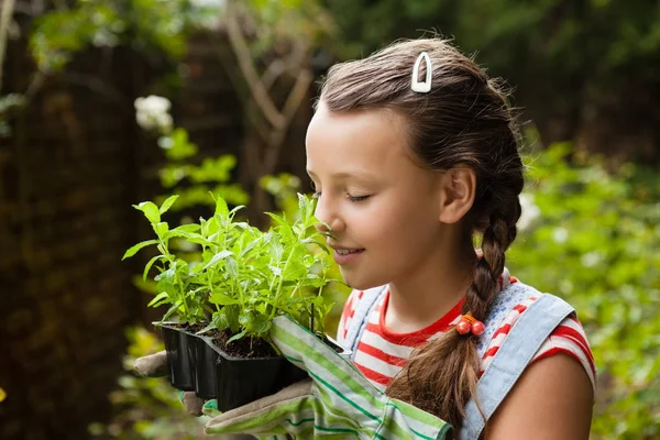 鉢植えの植物の臭いがする女の子 — ストック写真