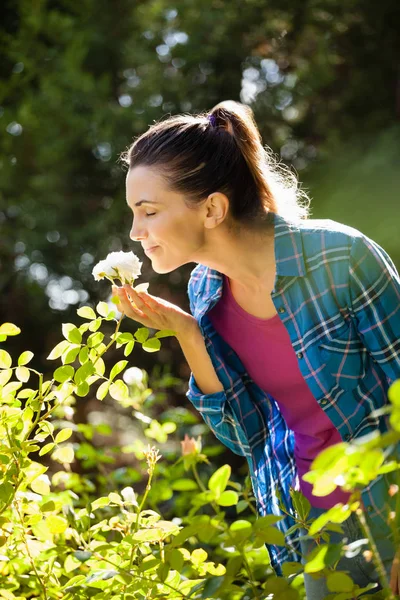 Woman smelling white roses — Stock Photo, Image