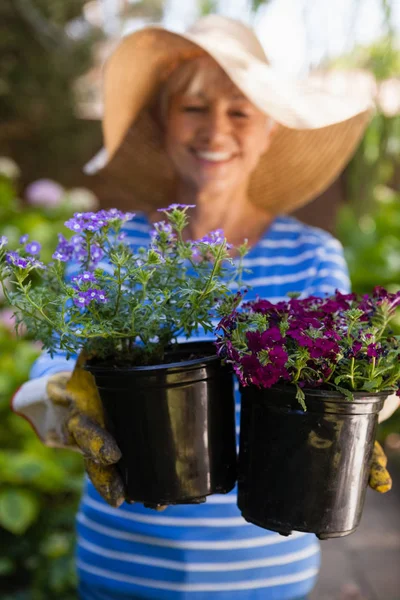Senior kvinna som håller blomkrukor — Stockfoto