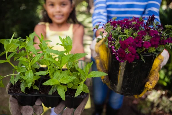 Menina e mulher sênior segurando plantas — Fotografia de Stock