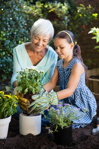 Senior woman teaching gardening — Stock Photo, Image