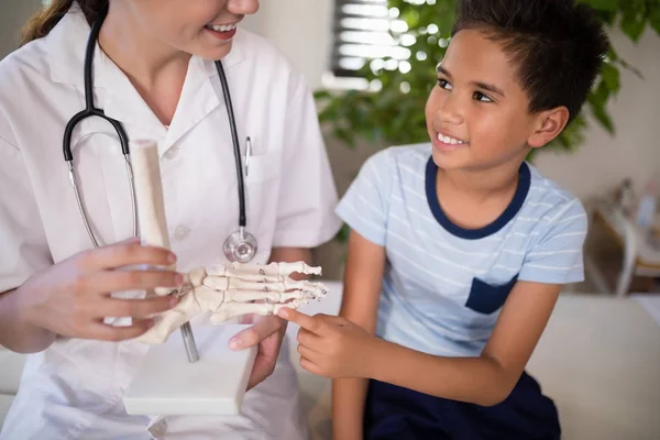 Junge berührt künstlichen Knochen — Stockfoto