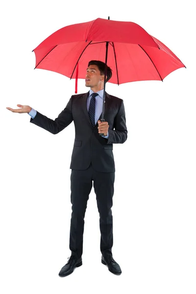 Бизнесмен держит зонтик — стоковое фото