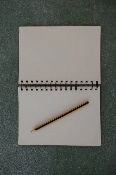 Penna och öppnade notebook — Stockfoto