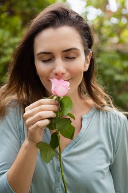 woman smelling pink rose clipart