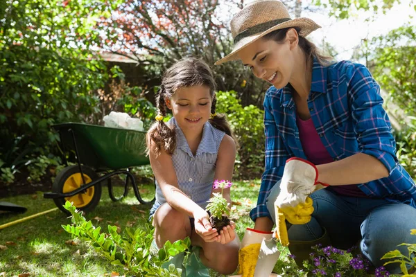 Mutter lehrt Tochter, Setzlinge zu pflanzen — Stockfoto