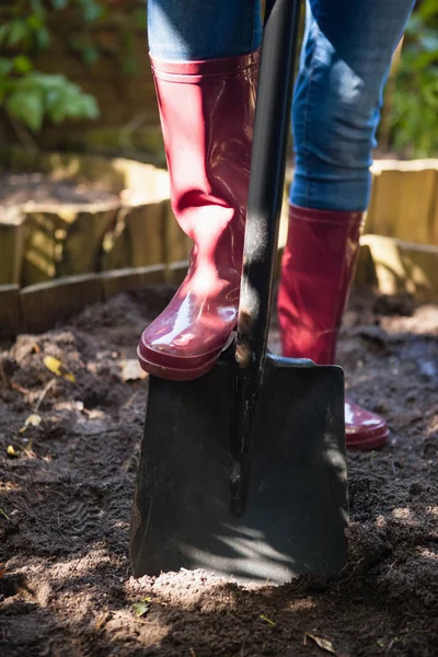 Donna anziana in piedi con pala — Foto Stock