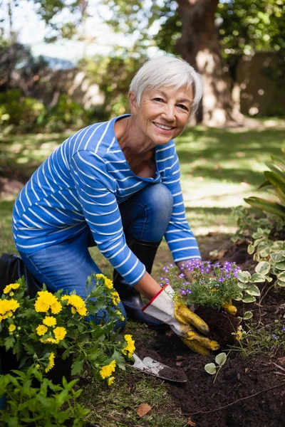 Mujer mayor plantando flores — Foto de Stock