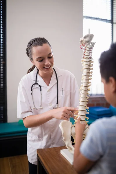 Therapist pointing at artificial spine — Stock Photo, Image